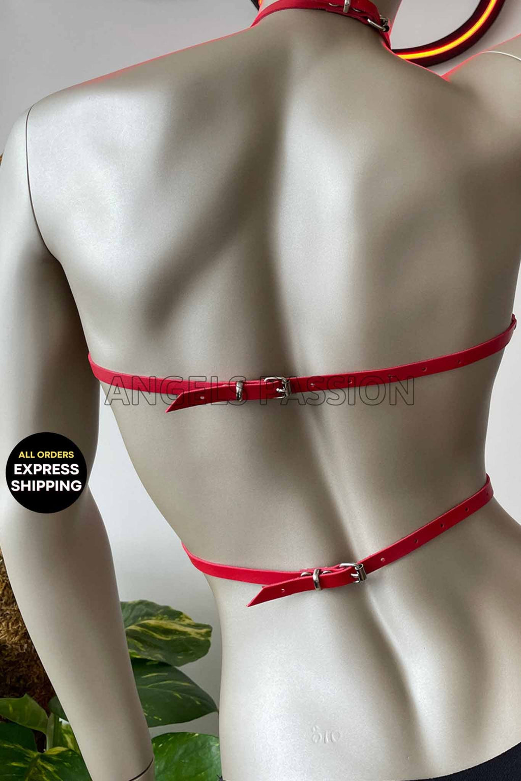 Sexy Open Cup Harness