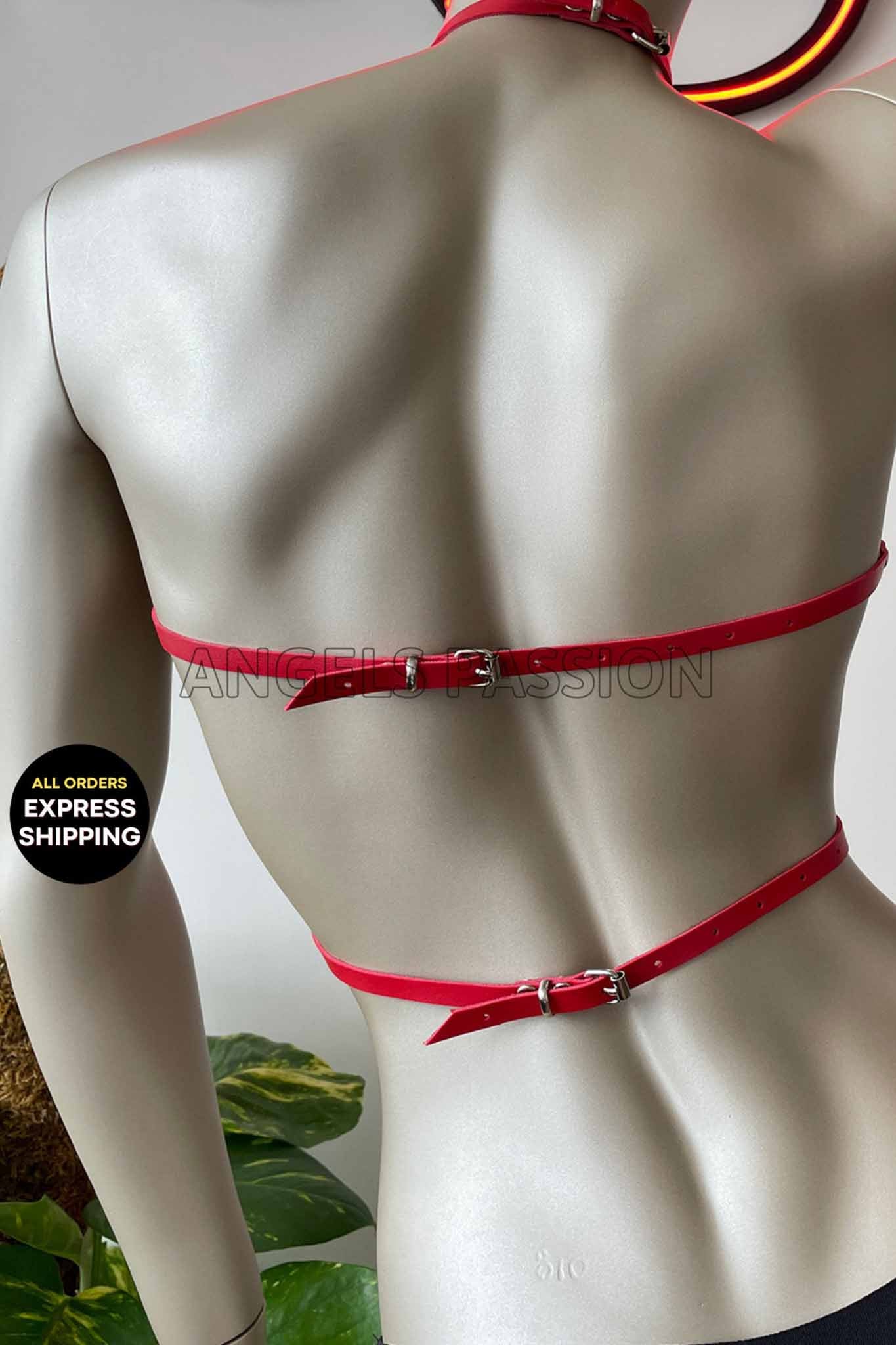 Sexy Open Cup Harness